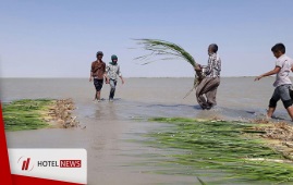 دریاچه هامون؛ زندگی سیستان، امید بلوچستان