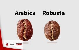 جزئیاتی در خصوص دانه‌های قهوه Arabica و Robusta - بخش اول