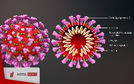 Novel Coronavirus(2019-nCoV) - Situation Report 19