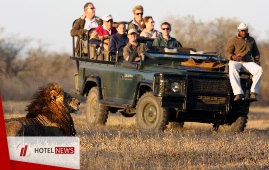 Coronavirus virtualized the tourists' trip to the African wildlife