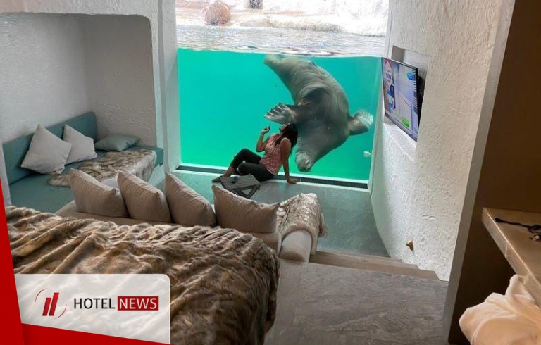 Underwater hotel in a zoo in Belgium - Picture 3