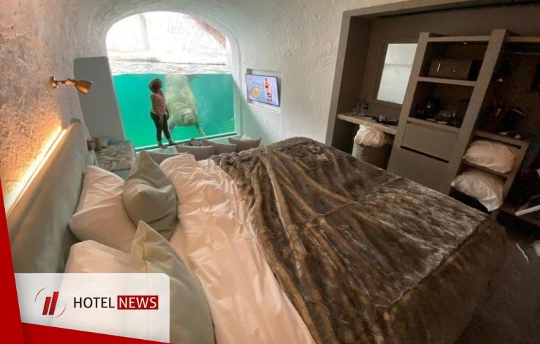 هتلی زیر آبی در باغ وحشی در بلژیک  - تصویر 1