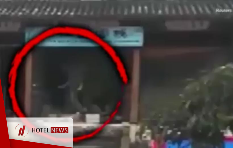 Hungry elephant attack to a hotel in China