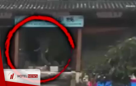 Hungry elephant attack to a hotel in China