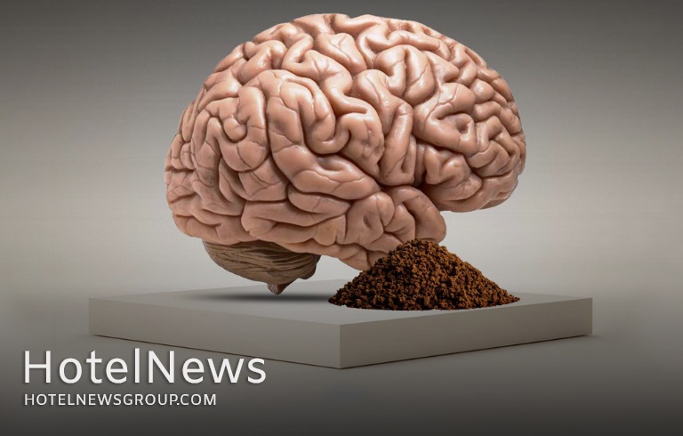تفاله قهوه شاید از مغز در برابر آلزایمر محافظت کند - تصویر 1