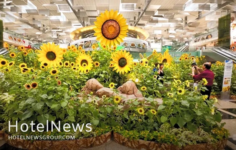 نمایشگاه گل‌های آفتابگردان فرودگاه چانگی جاذبه‌ای جدید برای گردشگران - تصویر 1